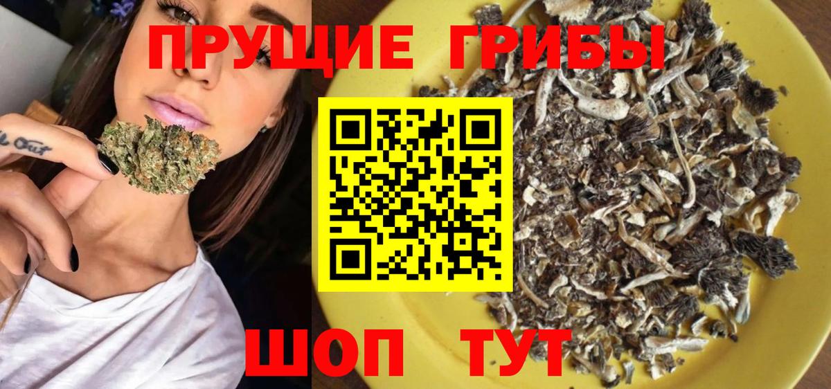 Псилоцибиновые грибы ЛСД Кемерово