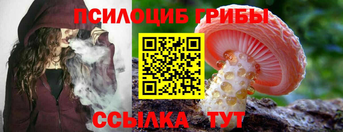 Кемерово  Галлюциногенные грибы мицелий  Галлюциногенные грибы Magic Shrooms  Вход с VPN 
